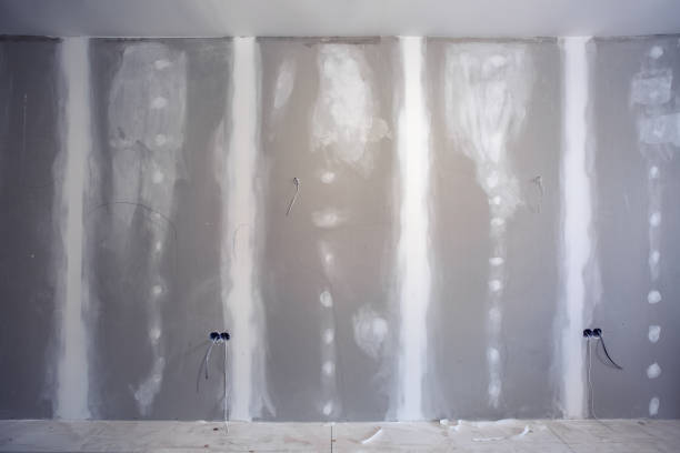 Best Drywall Sanding and Smoothing  in Cocoa Beach, FL